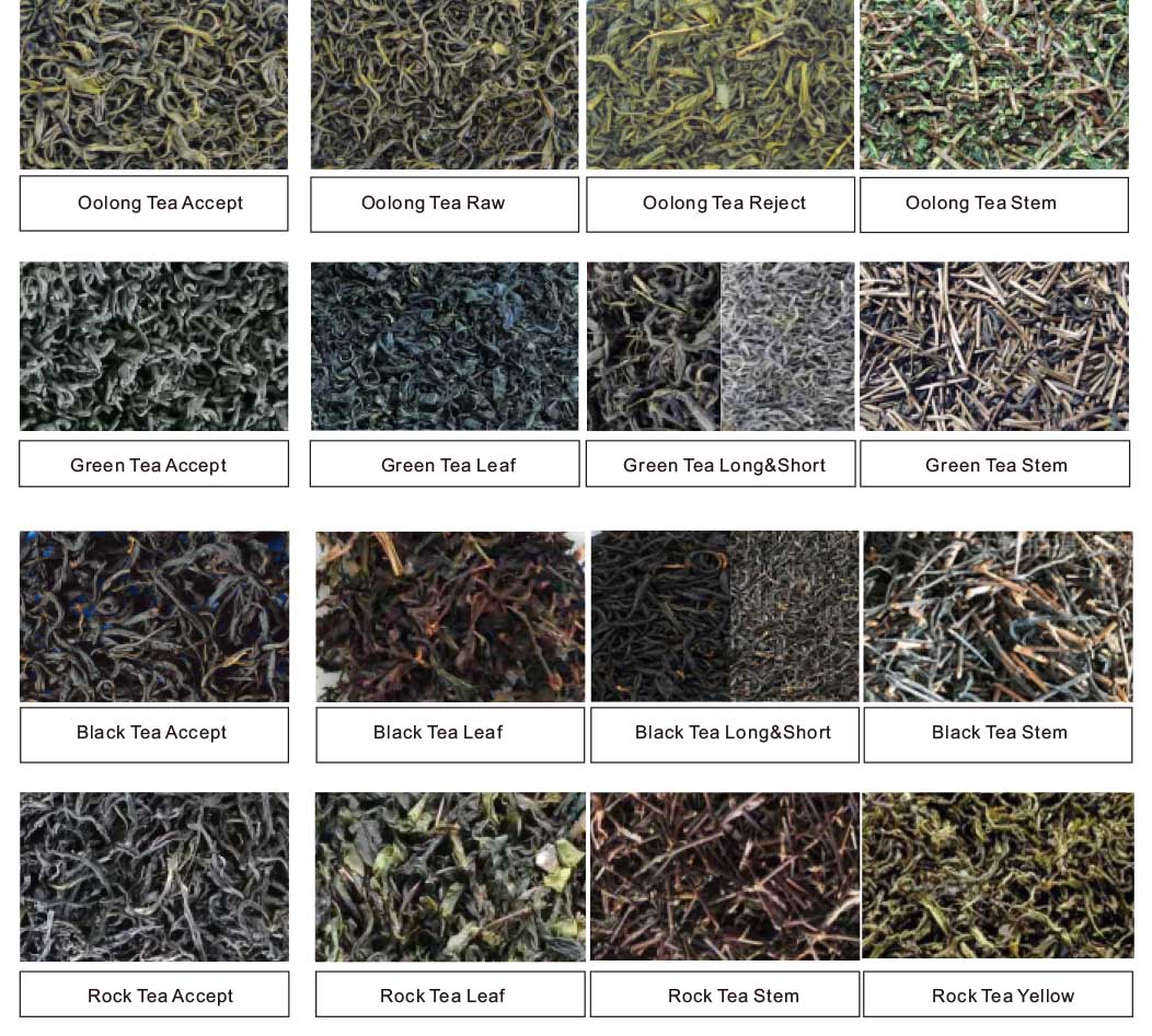 AMD® Mini Tea Sorting Machine