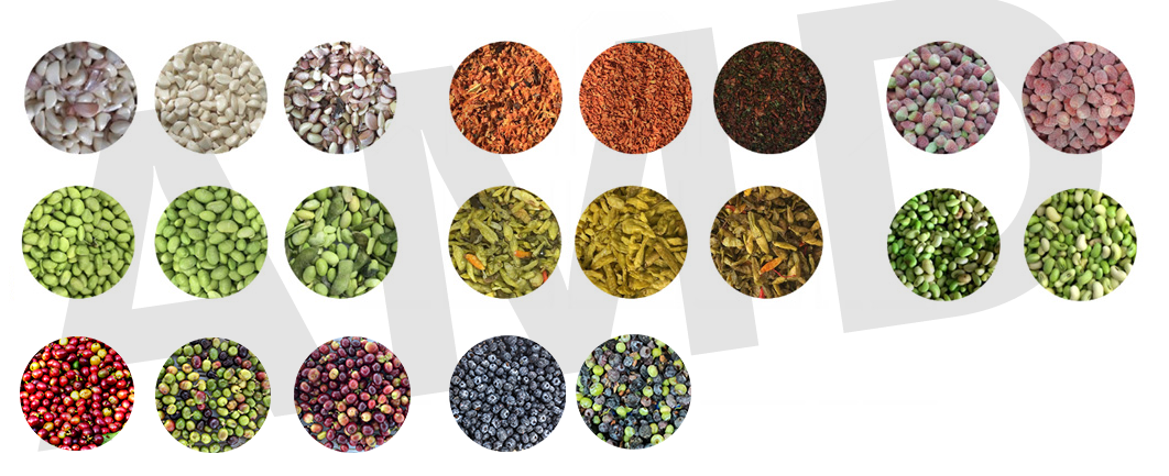 blueberry color sorter