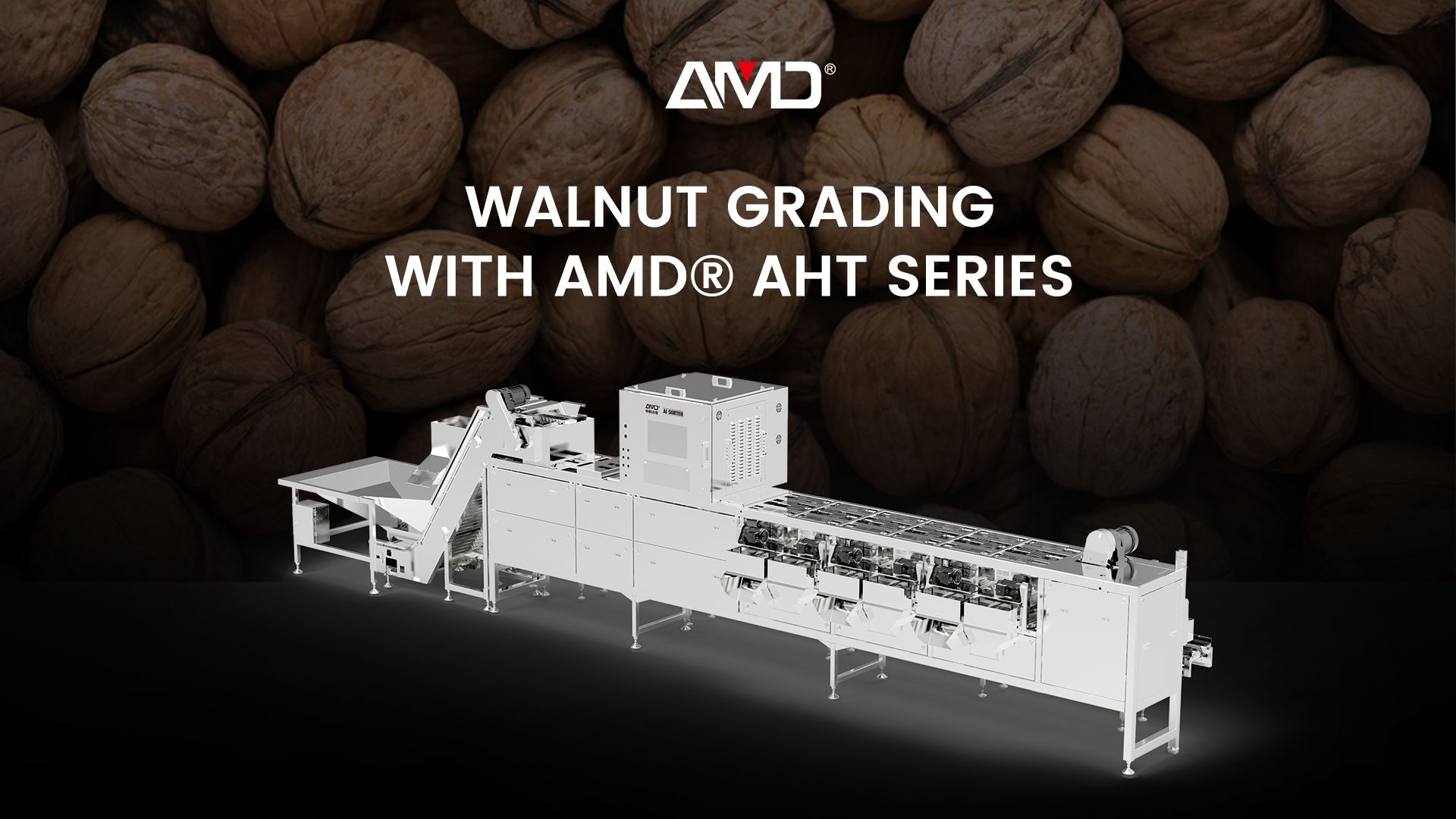 AMD® Serie AHT | Máquina clasificadora de nueces con cáscara