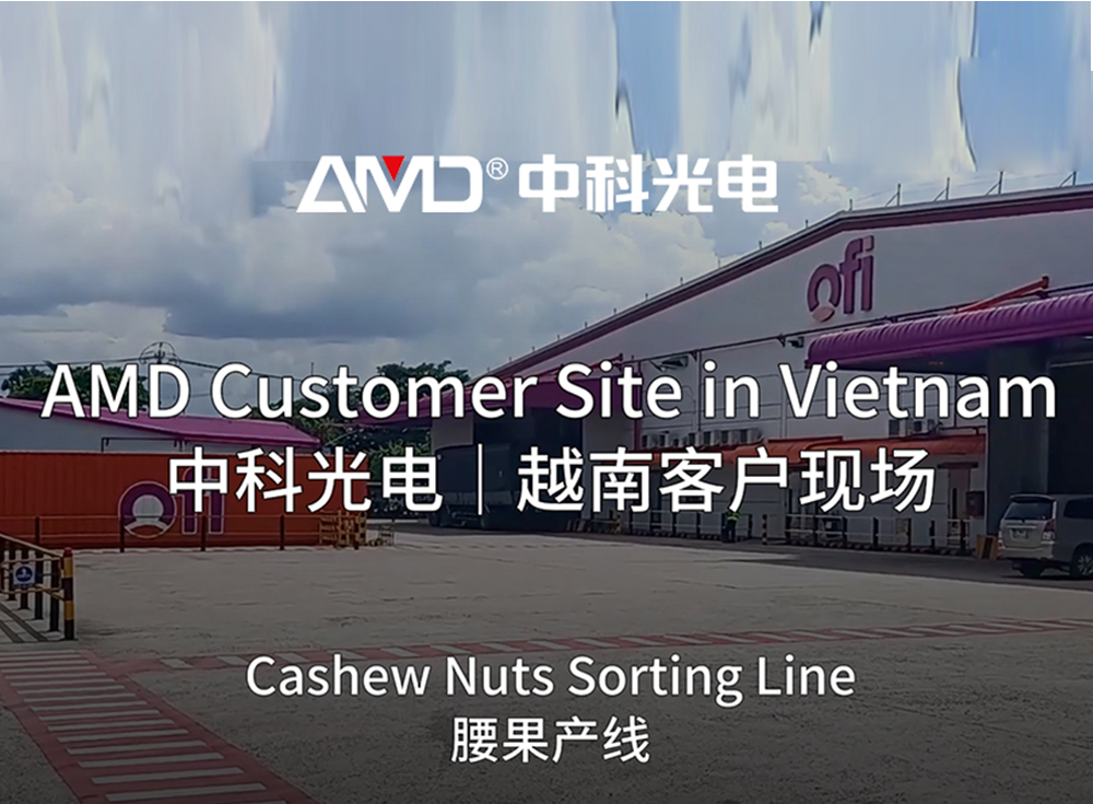 Procesador de anacardos de Vietnam mejora la producción con tecnología de clasificación AMD®